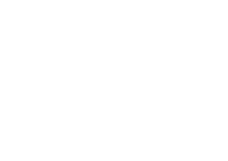 The New Stack Logo