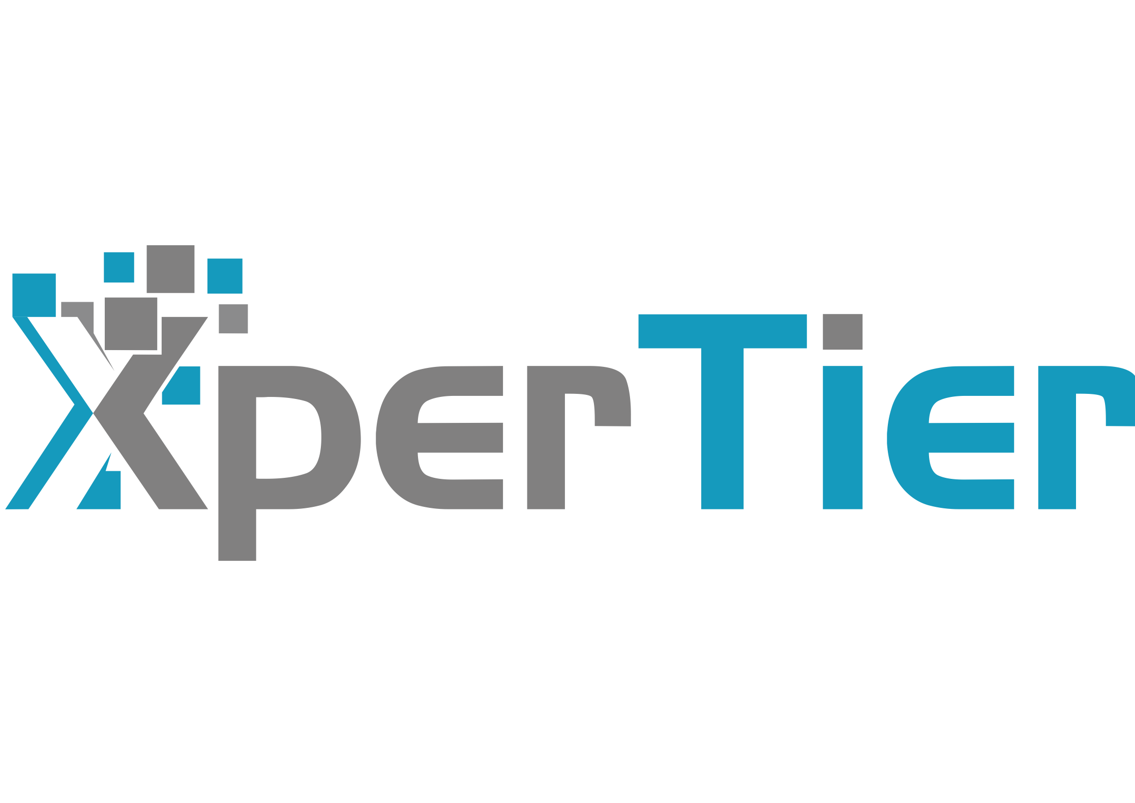 XperTier Logo